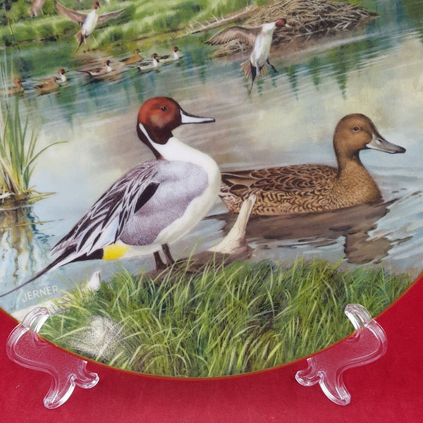 Knowles Collector Plate - The Pintail with CoA & Box - 7103 N/A