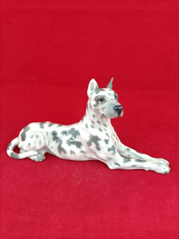 Great Dane Dog Signed - Royal Copenhagen Figurine 1679 - Denmark - RCH 5498