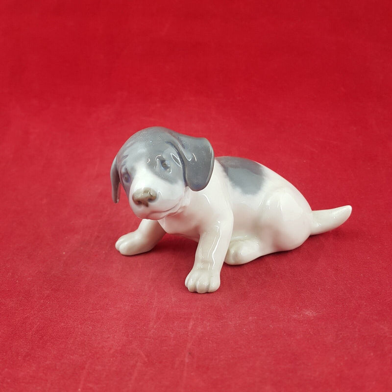 Royal Copenhagen Pointer Puppy 1311 - 7533 RCH