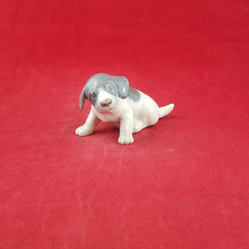 Royal Copenhagen Pointer Puppy 1311 - 7533 RCH