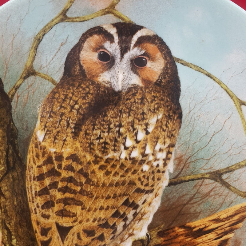 Coalport Decorative Plate 1990 - Tawny Owl - 6767 CP