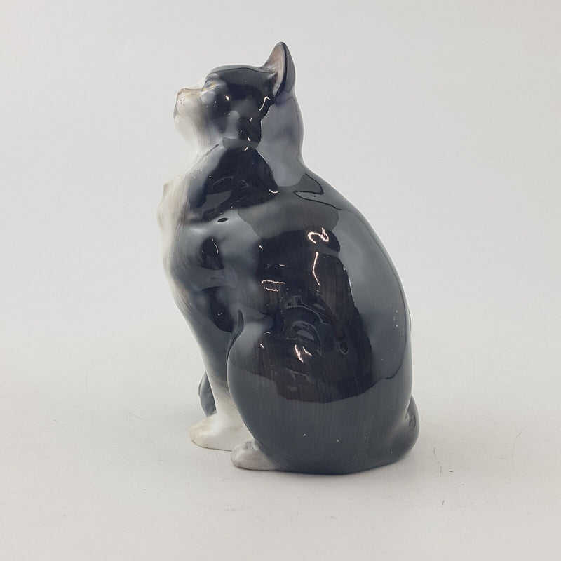 Royal Doulton Animals - Persian Cat HN999 - RD 3610