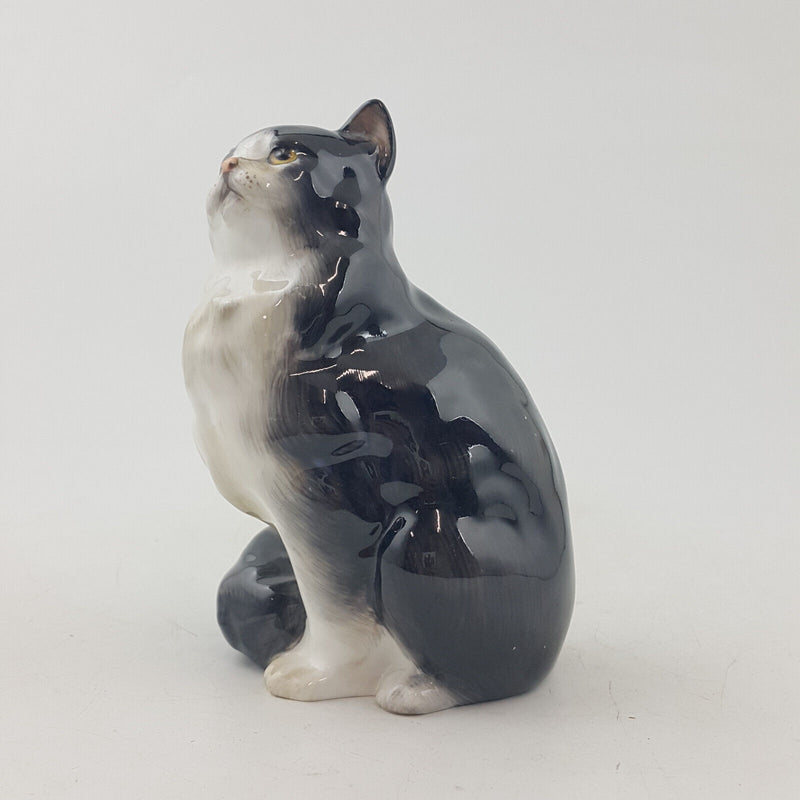 Royal Doulton Animals - Persian Cat HN999 - RD 3610