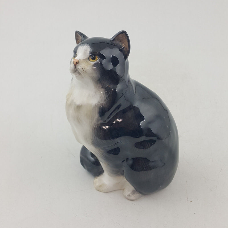 Royal Doulton Animals - Persian Cat HN999 - RD 3610