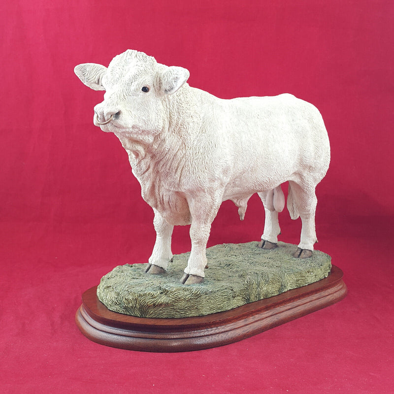 Border Fine Arts - Charolais Bull On Wooden Plinth A9789 (with CoA) - BFA 3304