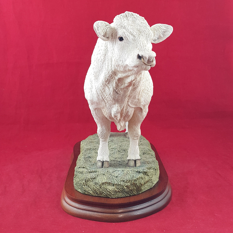 Border Fine Arts - Charolais Bull On Wooden Plinth A9789 (with CoA) - BFA 3304