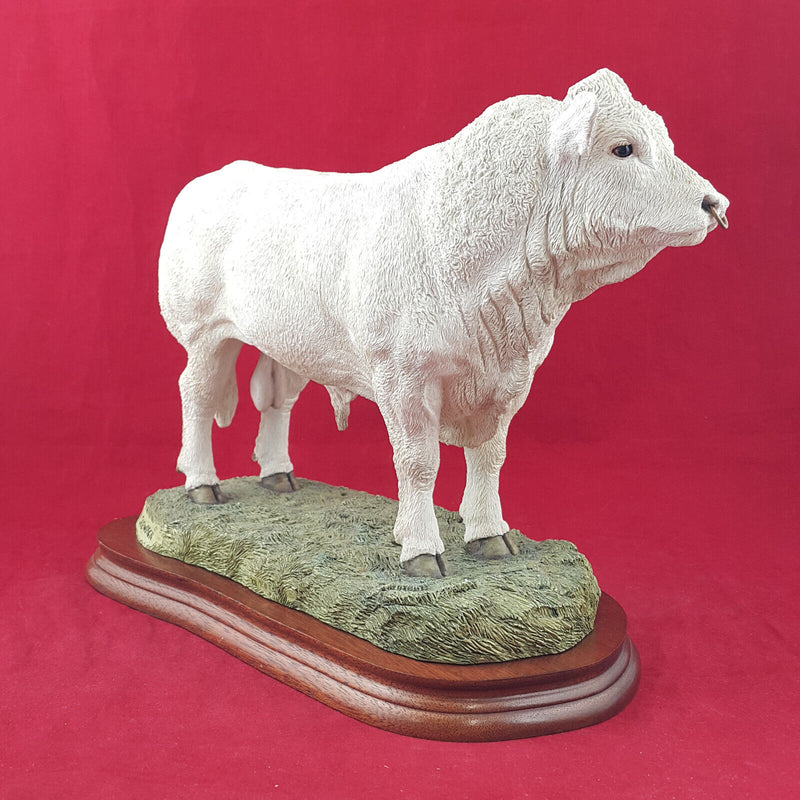 Border Fine Arts - Charolais Bull On Wooden Plinth A9789 (with CoA) - BFA 3304