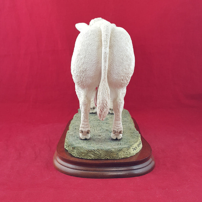 Border Fine Arts - Charolais Bull On Wooden Plinth A9789 (with CoA) - BFA 3304