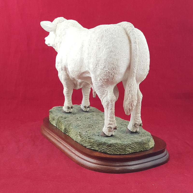 Border Fine Arts - Charolais Bull On Wooden Plinth A9789 (with CoA) - BFA 3304