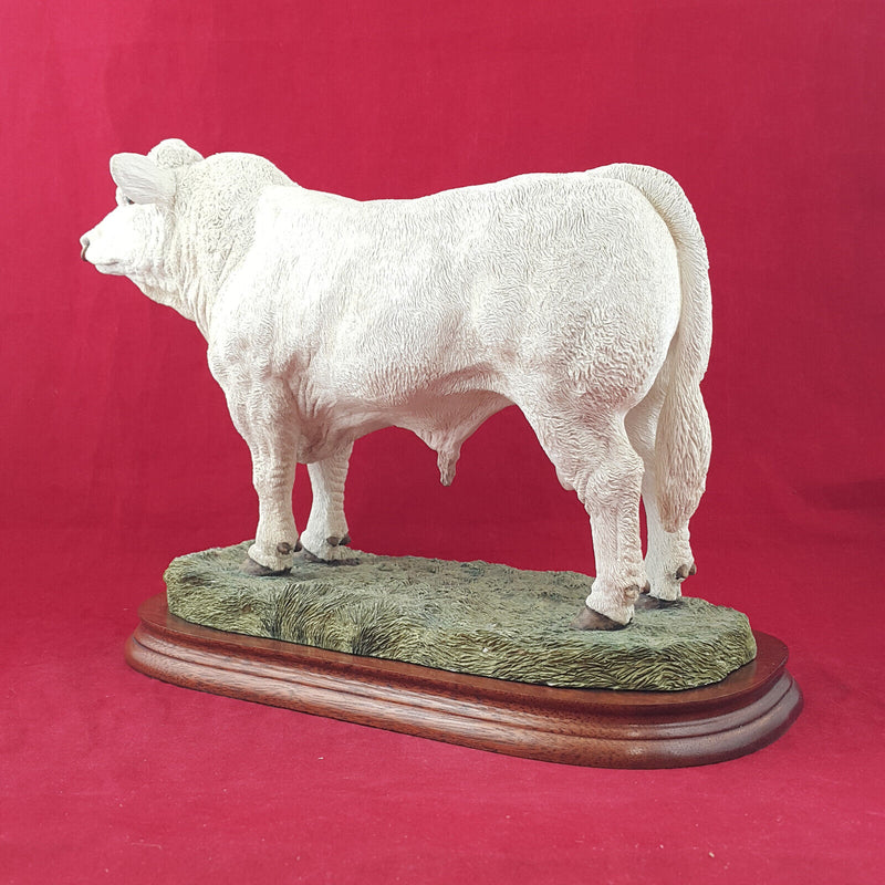 Border Fine Arts - Charolais Bull On Wooden Plinth A9789 (with CoA) - BFA 3304