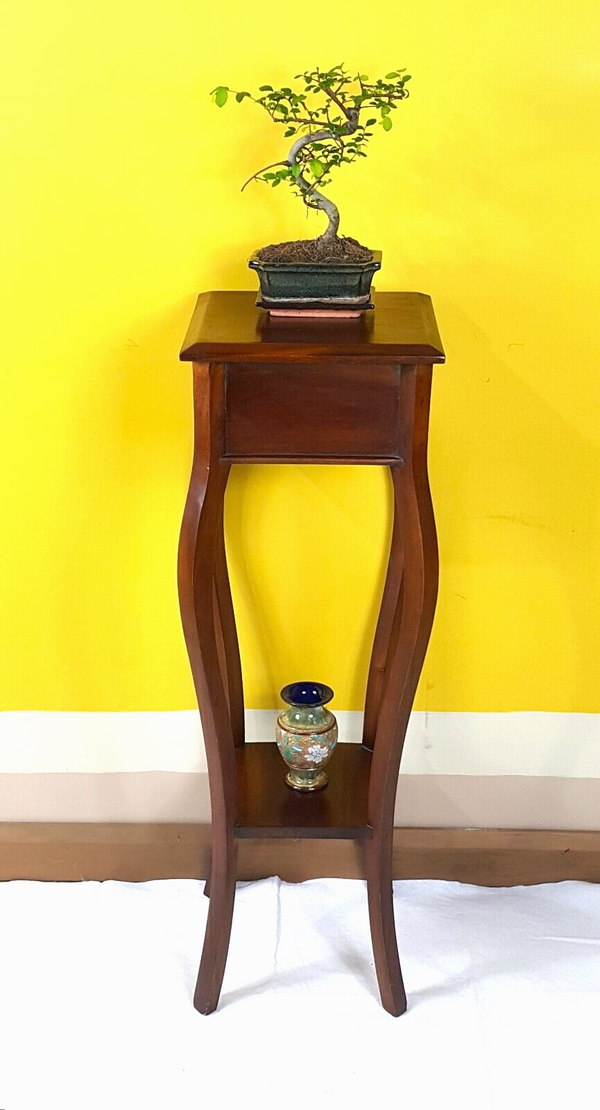 Edwardian Mahogany Palm Stand - F118