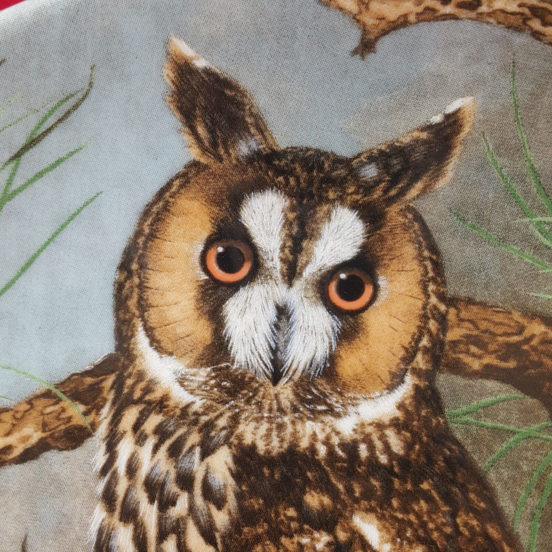 Coalport Decorative Plate - Long-Eared Owl Box & CoA - 7121 CP