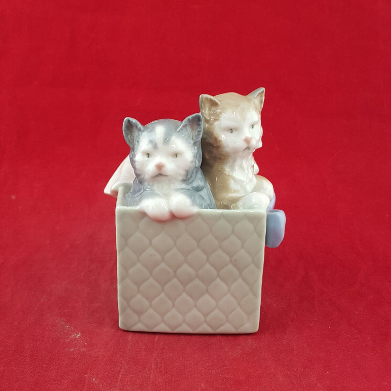 Nao By Lladro Figurine - Purri-fect Gift - Two Kitten in Box (Chipped) - 7216 L/