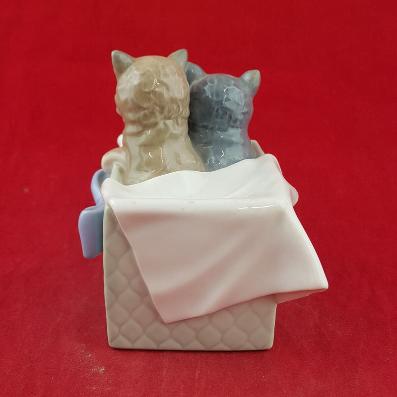 Nao By Lladro Figurine - Purri-fect Gift - Two Kitten in Box (Chipped) - 7216 L/