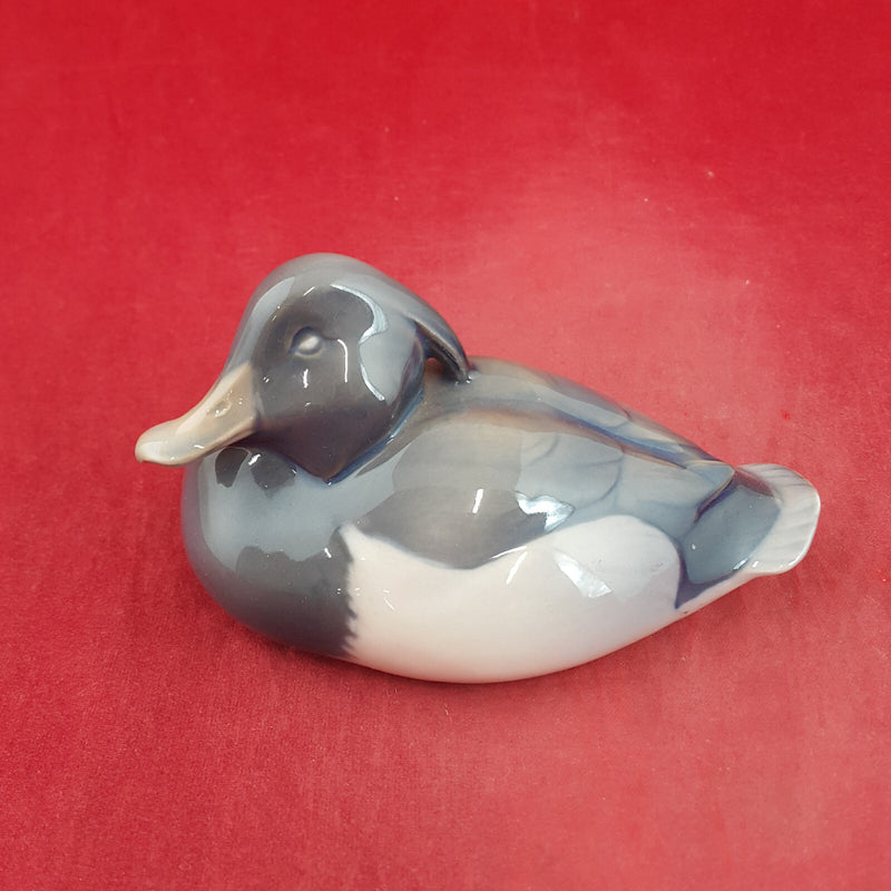 Royal Copenhagen - Tufted Duck 1924