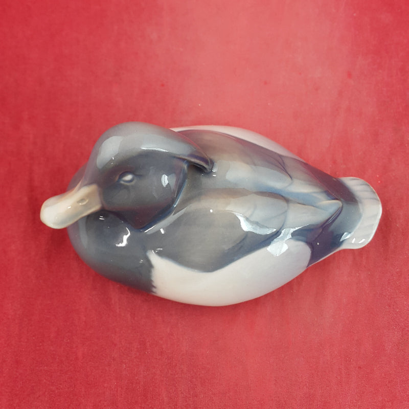 Royal Copenhagen - Tufted Duck 1924