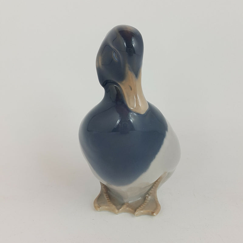 Royal Copenhagen - Tufted Duck Standing Tall with Head Down 1941 - 381 RCH