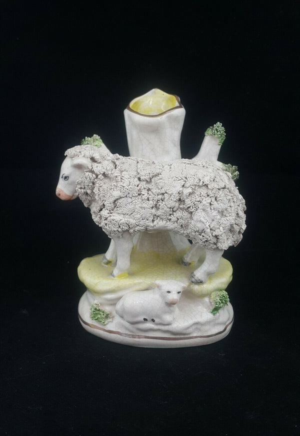 Staffordshire Wooly Sheep