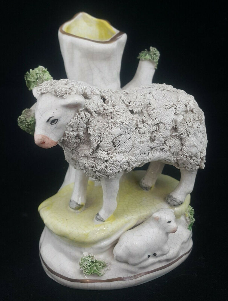 Staffordshire Wooly Sheep