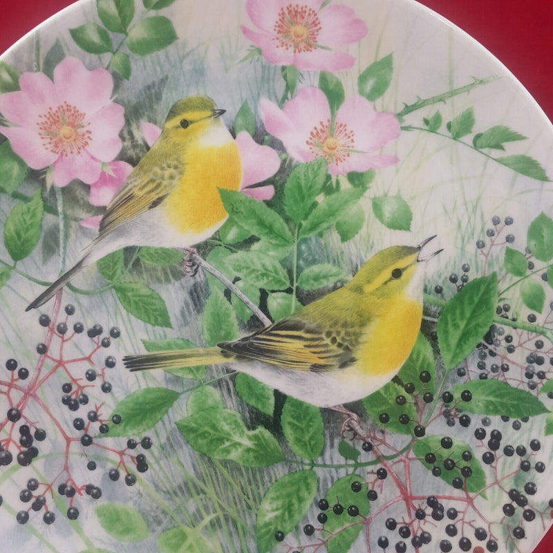 Royal Doulton Plate Wood Warbler with CoA Box - 6750 RD