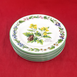 Royal Worcester Herbs Black Mustard - Set Of Six 6.75-inch Side Plates - RW 2693