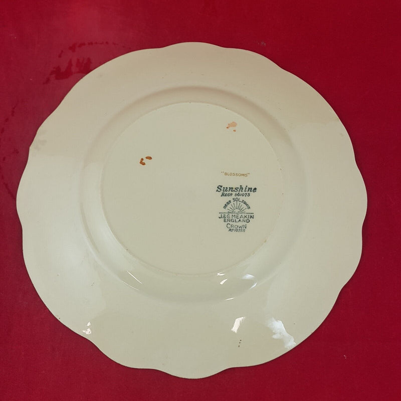 J & G Meakin Sunshine - Set of Six 9" Lunch Plate - 8037 OA
