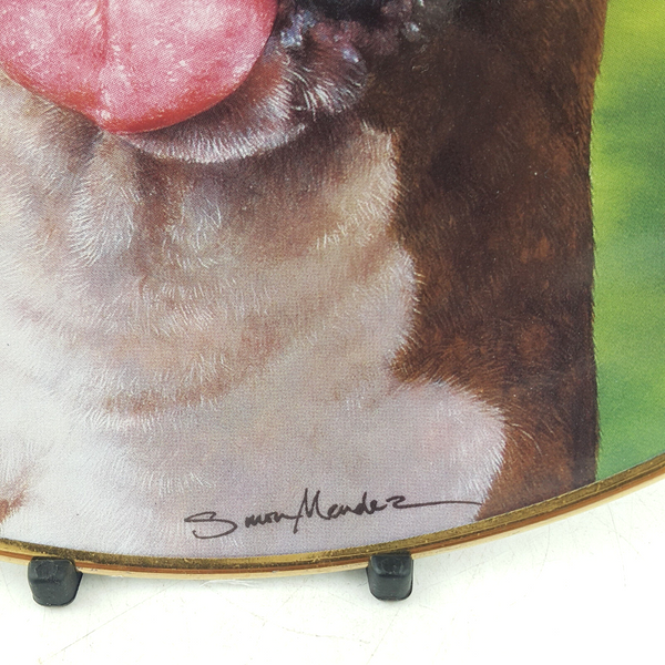 Danbury Mint Decorative Plate - The Boxer - Say "Aah" - OP 2838